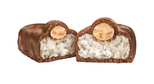 ALMOND JOY Coconut and Almond Chocolate Snack Size, Candy Bars, 0.6 oz (8 Count)