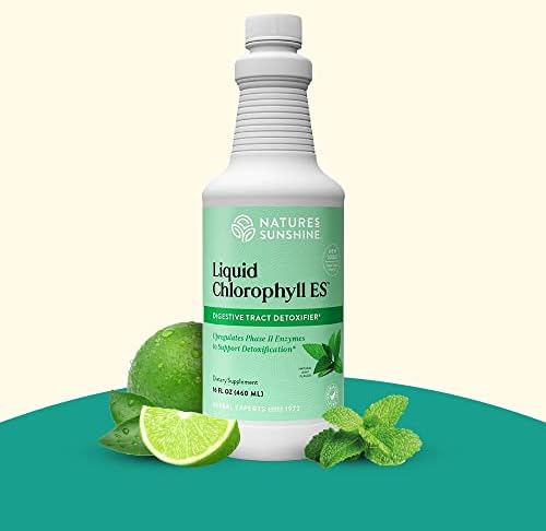 Nature's Sunshine Liquid Chlorophyll Extra Strength - Immunity Support, Detox & Cleanse, Chlorophyll Liquid Drops with Spearmint Oil, Natural Energy Boost, Internal Deodorant - 16 Fl Oz