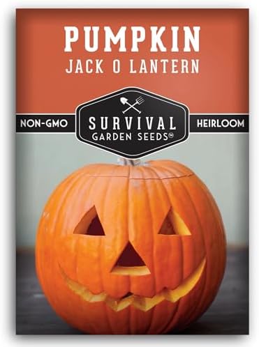 Jack O' Lantern Pumpkin Seeds for Planting - 1 Pack