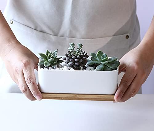 LANKER 6.5 Inch Rectangle White Ceramic Succulent Planter Pot with Bamboo Tray
