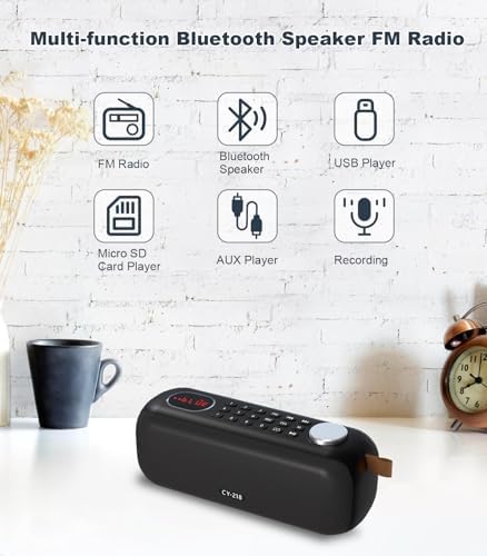 Portable Bluetooth Speaker FM Radio Digital, Support USB/SD Card MP3 Music Player/AUX/REC, Build-in 3000mAh Rechargeable Battery