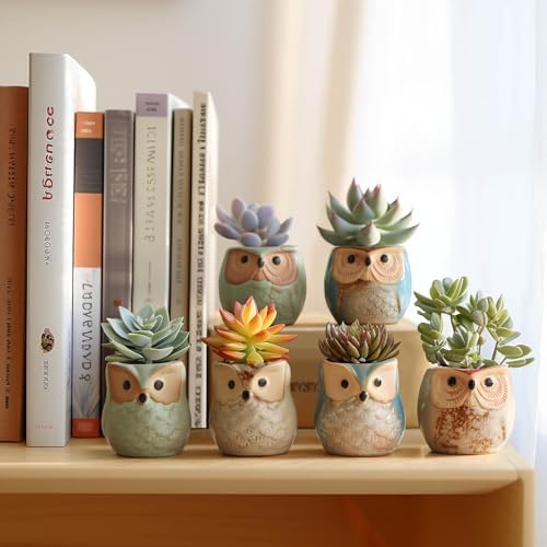 T4U Mini Succulent Ceramic Pots for Gifts, Small Planters for Decor 6 Pack | Planters with Drainage, for live cactus plants, bonsai tree starter pots, indoor windowsill decor, office desk accents