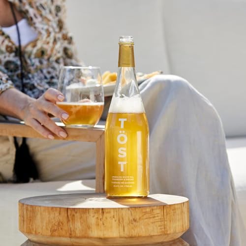 Tost, White Cranberry Ginger and Spice Sparkling White Tea, 25.36 Fl Oz