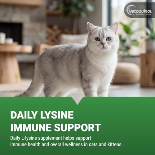 Vetoquinol Enisyl-F - Lysine Supplement for Cats - Daily Immune Support - Everyday Feline Health Support - Tasty Oral Paste - Tuna Flavor, 3.5oz Pump