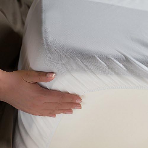 Protect-A-Bed Cloud Extra-Soft Tencel Waterproof Mattress Protector, Queen