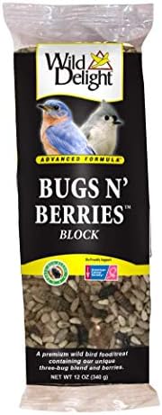 Wild Delight 388310 Bugs N' Berries Block, 12 oz,