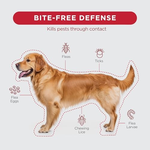 FirstAct Plus Flea Treatment for Dogs, Extra Large Dogs 89+ lbs, 3 Doses, Same Active Ingredients as Frontline Plus Flea and Tick Prevention for Dogs