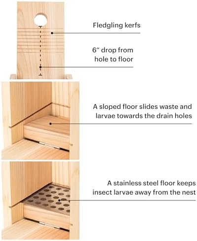 WHITEHORSE Bluebird House - Weatherproof Bird House for Outdoors - Cedar Birdhouse Built to NABS Specs - Nest Box for Bluebirds, Chickadees, Titmice