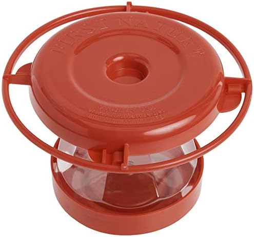 First Nature 993091-546 16 oz. Hummingbird Flower Feeder , Red | Bright Flower Ports Attract Birds - Round Bottom Perch Fits Multiple Birds - See-Through Tank Shows Nectar Levels