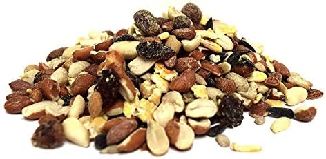 Lyric Fruit and Nut Wild Bird Seed - High Energy Wild Bird Food Mix - Attracts Woodpeckers, Chickadees & Other Songbirds -5 lb. Bag | Attracts Woodpeckers, Chickadees and other songbirds