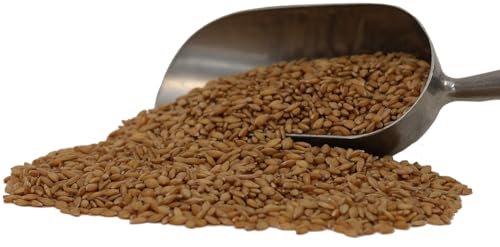 Organic Einkorn Wheat Berries - 3lbs