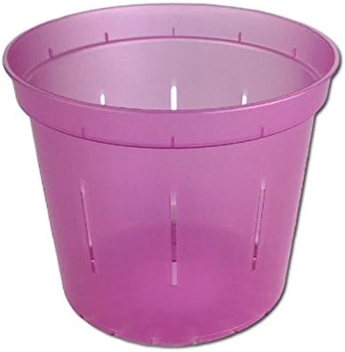 Orchid Pot - 6 inch Slotted Clear Orchid Pots - 3 Pack (Crystal Clear)