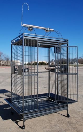 Large Double Ladders Open Play Top Wrought Iron Bird Parrot Parakeet Finch Macaw Cockatoo Cage, Include Seed Guard and Toy Hook (30.5''L x 29.5''W x 65''H, Black Vein)