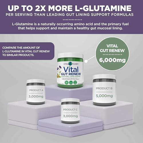 Vital Planet - Vital Gut Renew Powder Supplement for Leaky Gut Repair with L-Glutamine, Marshmallow and Ginger Root