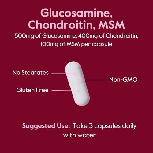 BESTVITE Glucosamine Chondroitin MSM 500/400/100 per Capsule (240 Caps)