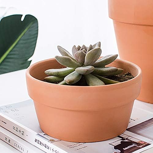 Briful 4 Shallow Terracotta Pots 5.5"x2.8" Flower Pots Clay Pottery Planter with Drainage Hole - Great for Cactus, Succulent Plants and Crafts