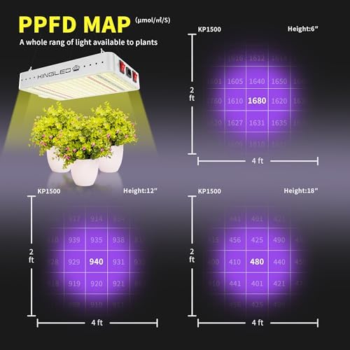 KingLED KP1000 Grow Light for Indoor Plants, Full Spectrum Plant Grow Light | 100W Dimmable LED Growing Light with Veg & Bloom Mode, High PPFD Plant Lamp for Indoor Seed Starting, Fits 2x2/2x3 Grow Tent