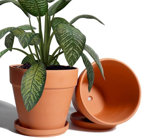 vensovo 8 Inch Clay Pot for Plant with Saucer - 2 Pack Large Terra Cotta Plant Pot with Drainage Hole, Clay Planters Pot