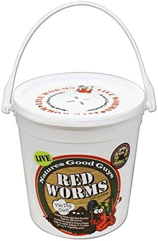 Live Redworms Composting Red Worms - 300 Red Wigglers