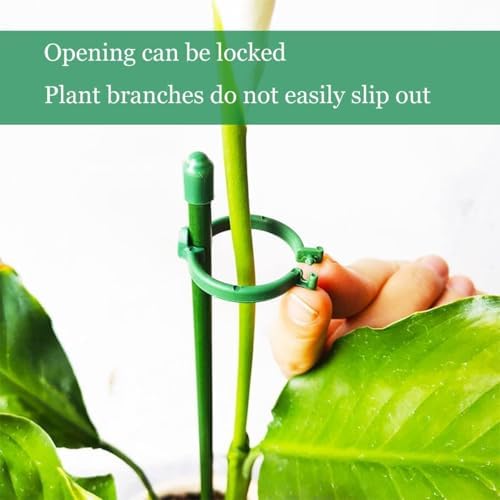 Belit 8 Pack Plant Supports for Small Plants, Garden Flowers Green Plant Support Ring, Planter Support Ring for Schlumbergera, Clivia, Succulents