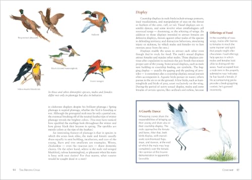 The Backyard Bird-Lover's Guide: Attracting, Nesting, Feeding