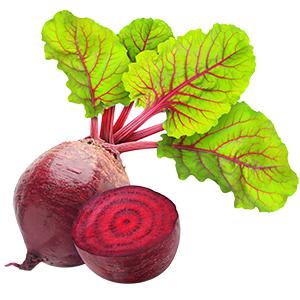 beet