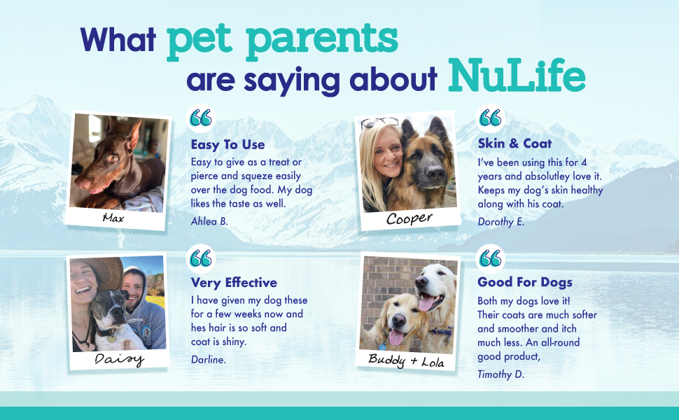 Salmon Oil For Dogs