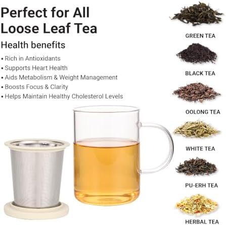 emoi 15 oz Glass Tea Cup with Infuser & Lid, Ideal for Loose Leaf Tea, Gray | Tea Mug with Extra Fine Mesh 304 Stainless Steel Steeper & Silicone Lid