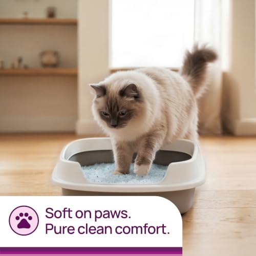 Litter Pearls Micro Crystals Unscented Non-Clumping Crystal Cat Litter with Odorbond, 7 lb, White, Clear and Blue Crystals (LPMC7)