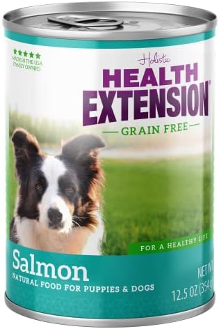 Health Extension 95% Beef Grain-Free Wet Dog Food, High Protein Recipe, Limited Ingredients, Picky Eaters, Ideal for Sensitive Stomachs 5.5 oz (Case of 24)