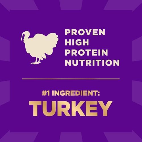 Wellness CORE+ Small Breed Adult Dry Dog Food with Freeze Dried Pieces, Wholesome Grain Kibble+, Natural, High Protein, Turkey and Chicken Recipe, 4 lb Bag