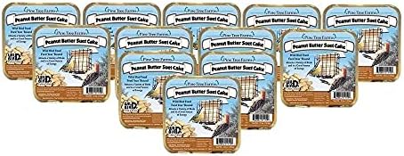 Pine Tree 1421 Peanut Butter Wild Bird Suet Cake, 3-Pound