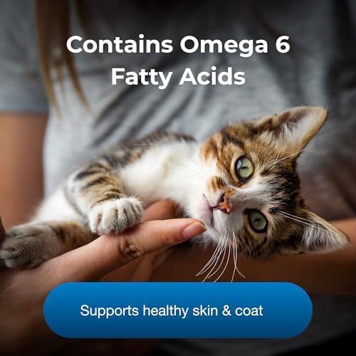 PetAg KMR Healthy Development - 14 oz - Great Tasting Nutritional Supplement for Cats and Weaning Kittens