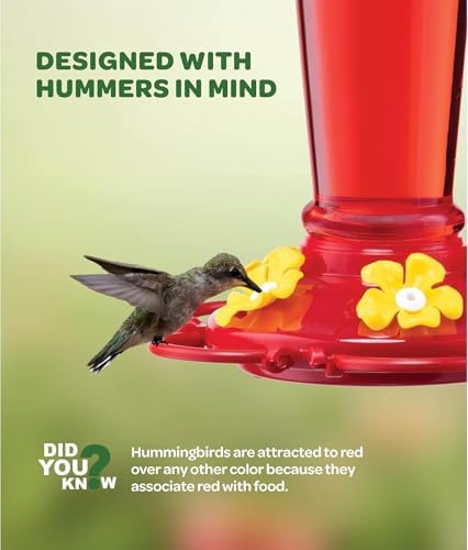 Hummingbird Feeder [Set of 2] Leakproof Clear Plastic 10 oz Wide Mouth.