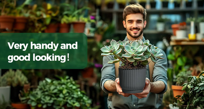 self watering pot