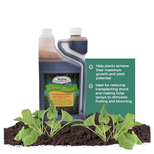 Medina Liquid Seaweed Fertilizer, 1 Gallon | For Plants, Concentrated, Lawn and Garden, Enhances Plant Growth and Soil Health, Ready to Spray, Covers 64000 Sq. Ft.