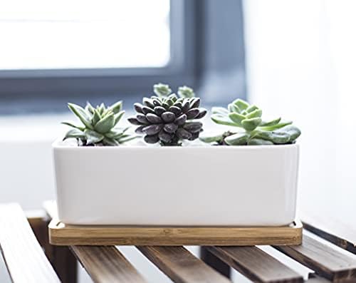 LANKER 6.5 Inch Rectangle White Ceramic Succulent Planter Pot with Bamboo Tray
