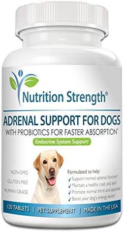 Adrenal Support for Dogs with Cushing's Disease | Maintain a Healthy Coat and Skin | Promote Normal Urination