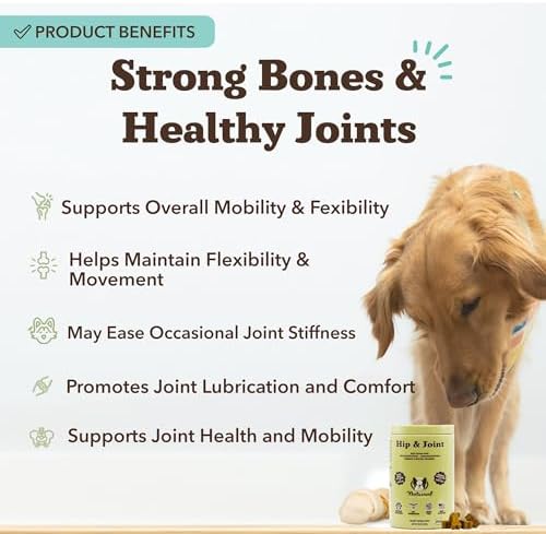 Natural Dog Company Liquid Glucosamine Hip & Joint Oil for Dogs, 16 oz, Extra Strength Cartilage & Joint Support, Helps Mobility and Eases Occasional Stiffness, Dog Vitamins & Supplements