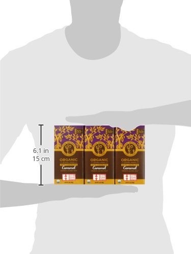 Equal Exchange Organic Chocolate Caramel Crunch with Sea Salt, 2.8-Ounce (Pack of 6)