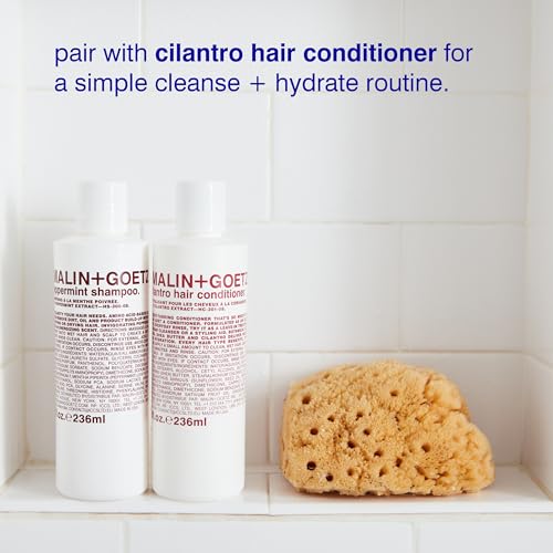 MALIN+GOETZ Clarifying Shampoo | Cool Peppermint Formula | Daily Cleanser with Amino Acids | For All Hair Types | Vegan, Sulfate-Free & Unisex