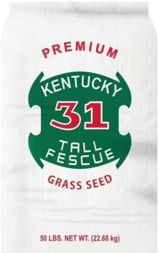 Kentucky 31 Tall Fescue 50lbs