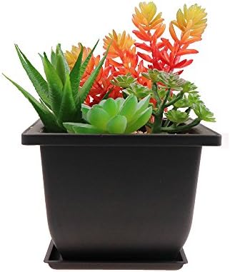MUZHI 6PCS/Pack Retro Style Basin Plastic Flower Pot 6.5 Inch Flower Bonsai Tree Plant Bowl Nursery Pots Maceta Cuadrada Simulational Purple Sands Pots with Tray Rectangle Small