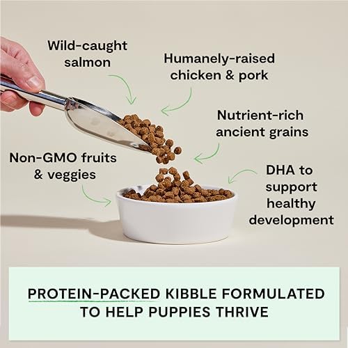 Open Farm Ancient Grains Dry Puppy Food, Chicken & Salmon Kibble, 4lb Bag