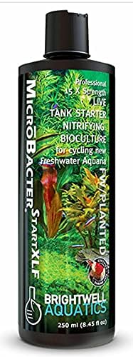 Brightwell Aquatics MicroBacter Start XLF Freshwater Tank Starter, 125 ml