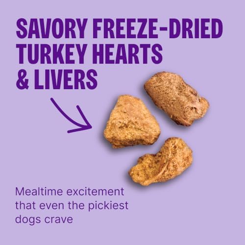 Wellness CORE+ Small Breed Adult Dry Dog Food with Freeze Dried Pieces, Wholesome Grain Kibble+, Natural, High Protein, Turkey and Chicken Recipe, 4 lb Bag