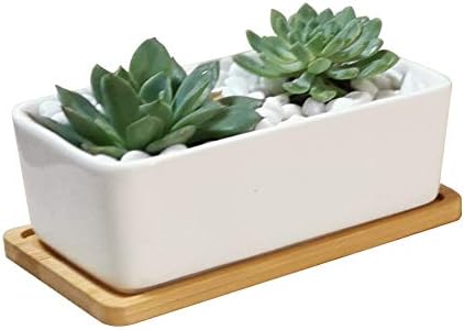 LANKER 6.5 Inch Rectangle White Ceramic Succulent Planter Pot with Bamboo Tray