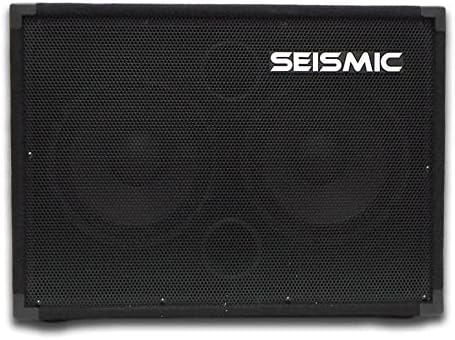 Seismic Audio - 210 Bass Guitar Speaker Cabinet PA DJ 400 Watts 2x10 PRO AUDIO