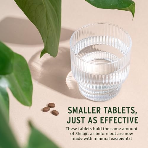 Banyan Botanicals Shilajit – 90 Pure Pressed Tablets for Energy & Vitality*