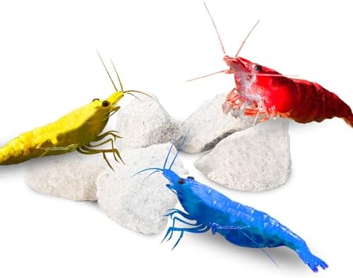 JOR Water Conditioner Calcium Rocks for Baby Shrimps, Isopods, and Crayfish, Enhances Pet Color, Provides Hideout, Breeding Spot